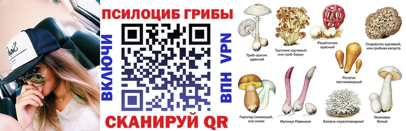 Псилоцибиновые грибы GOLDEN TEACHER  kraken   Шумерля 