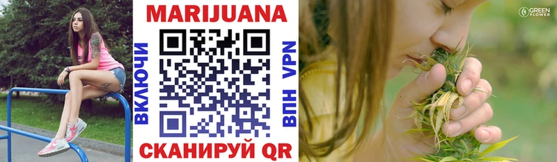 Каннабис OG Kush  Шумерля 